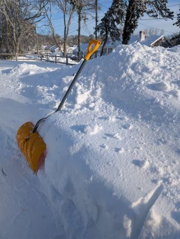shovel in snowbank